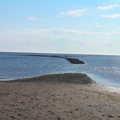 P6212329